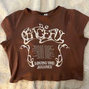 brown grunge H&M crop top